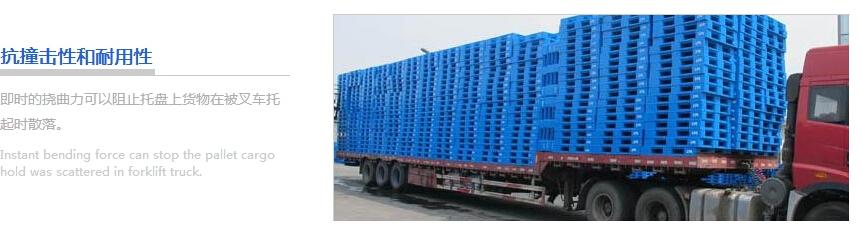 塑料托盤選購必看注意事項 塑料托盤特征.jpg