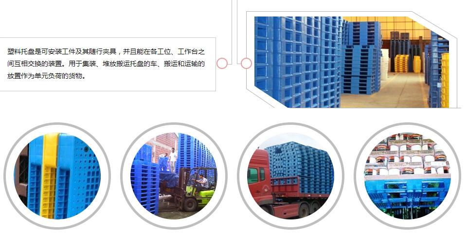 塑料托盤選購必看注意事項 塑料托盤多少錢一個?塑料托盤選購必看注意事項.jpg
