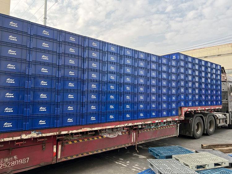 3941717036361984.jpg 1.jpg