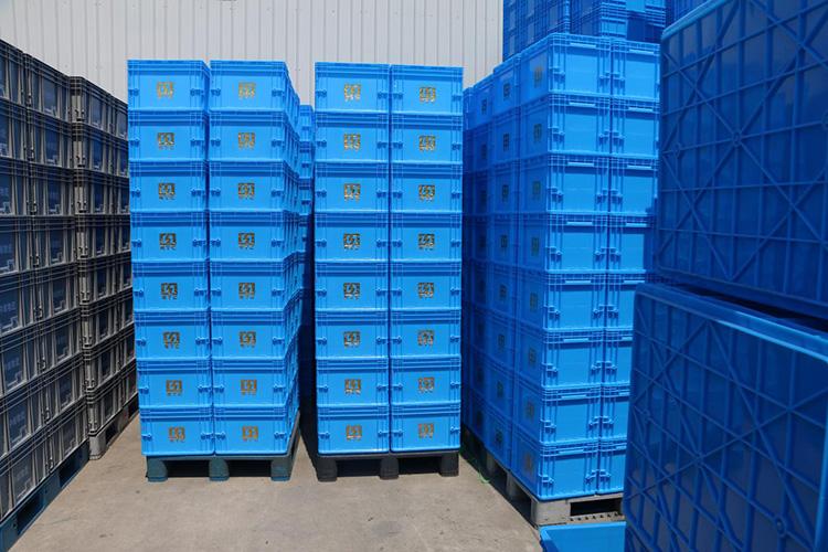 6611717032326185.jpg 3.jpg