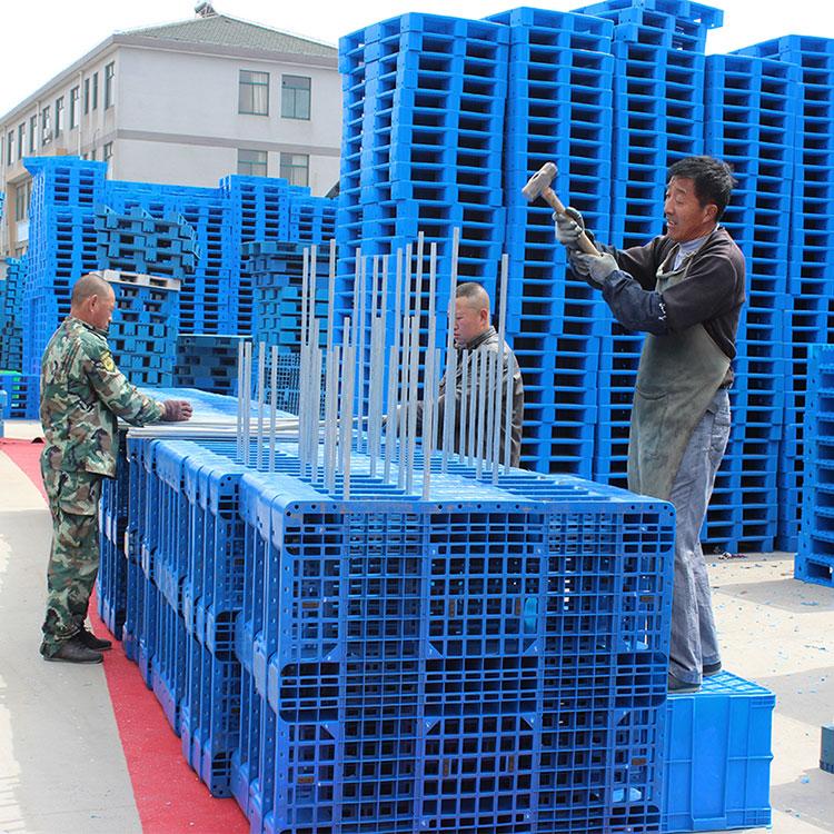 5491717568428438.jpg 1.jpg